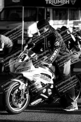 media/Nov-06-2023-Moto Forza (Mon) [[ce023d0744]]/1-Around the Pits/